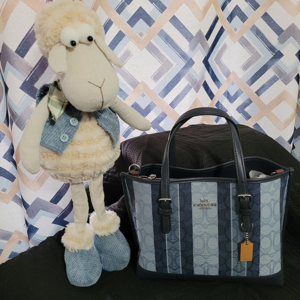 NOT SOLD- ORDER CANCELED BY BUYER - Coach Purse